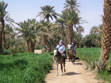 Morocco-Morocco-Oasis of Tafilalelt Expedition